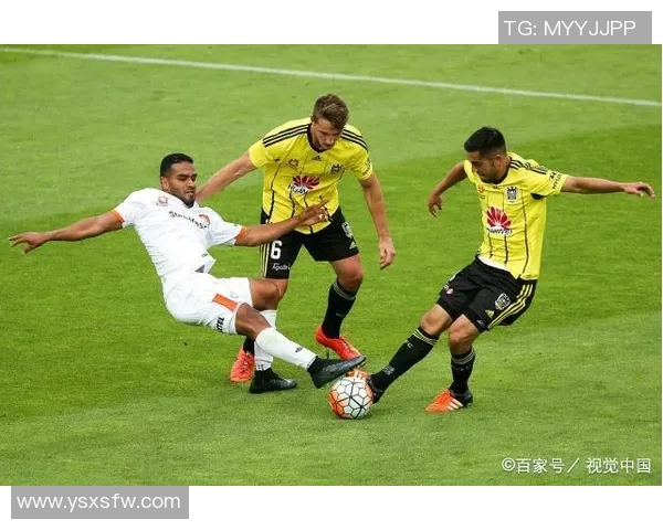 2019年布里斯班对阵惠灵顿的精彩赛事回顾与分析 2019年布里斯班对阵惠灵顿的精彩赛事回顾与分析